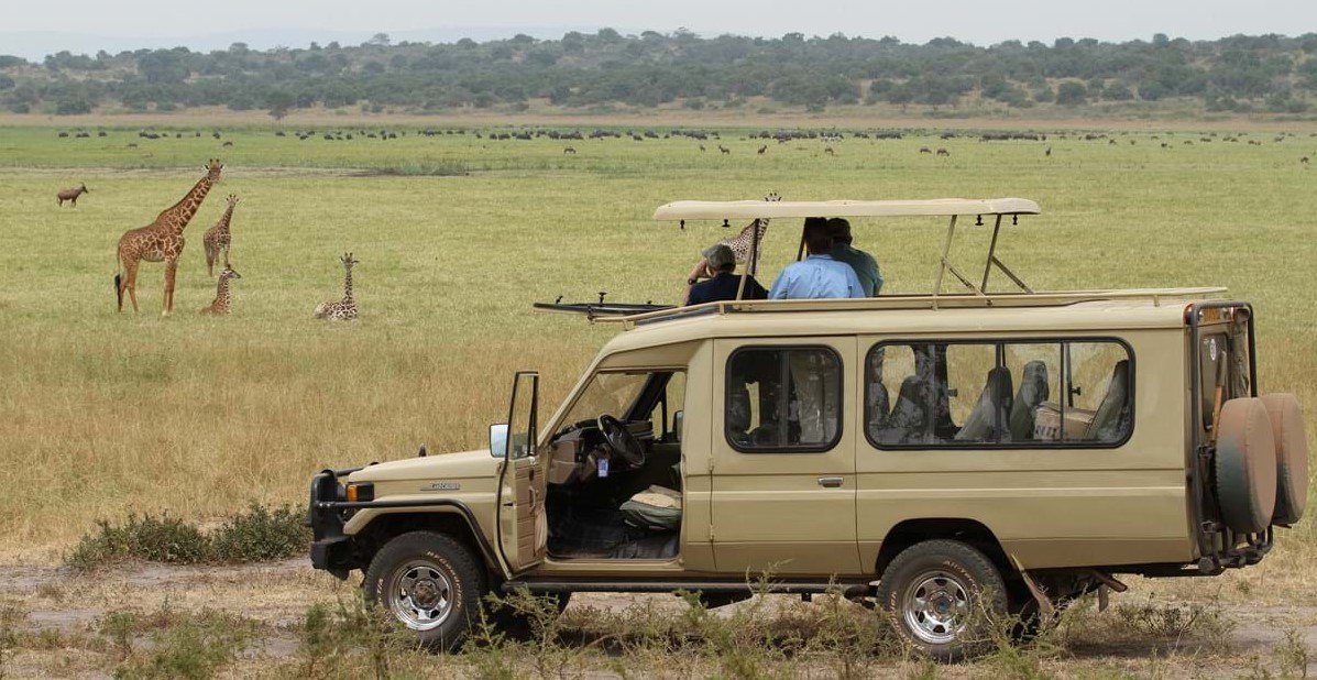 Disfrute de safaris en safari en el Parque Nacional Akagera