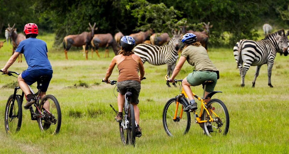 Las mejores experiencias de safari para familias en Uganda: El país se está convirtiendo cada vez más en una de las mejores opciones para las aventuras.