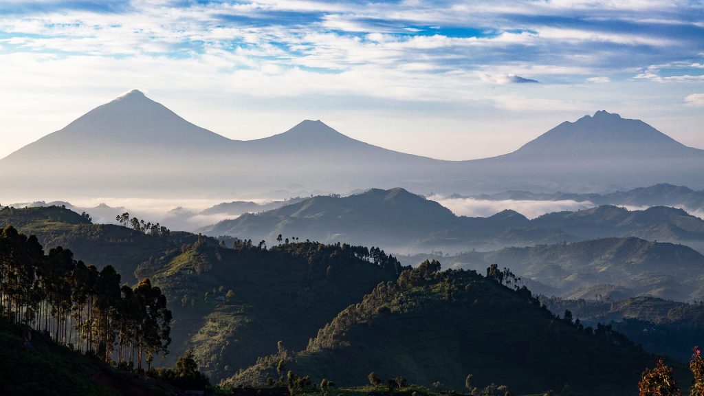 Coste de los permisos de trekking de gorilas en Ruanda.