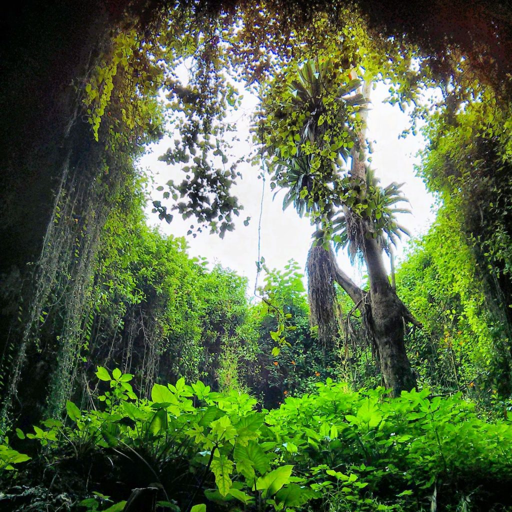 Explora las históricas cuevas de Musanze