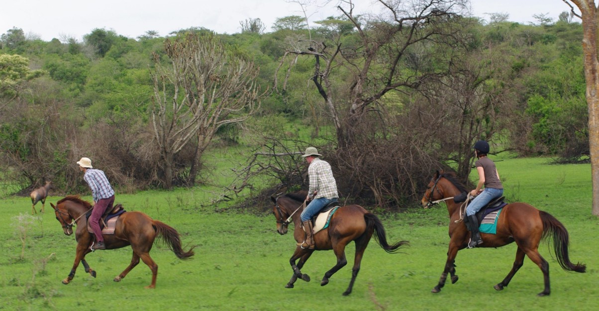 Safari a caballo en el Parque Nacional del Lago Mburo