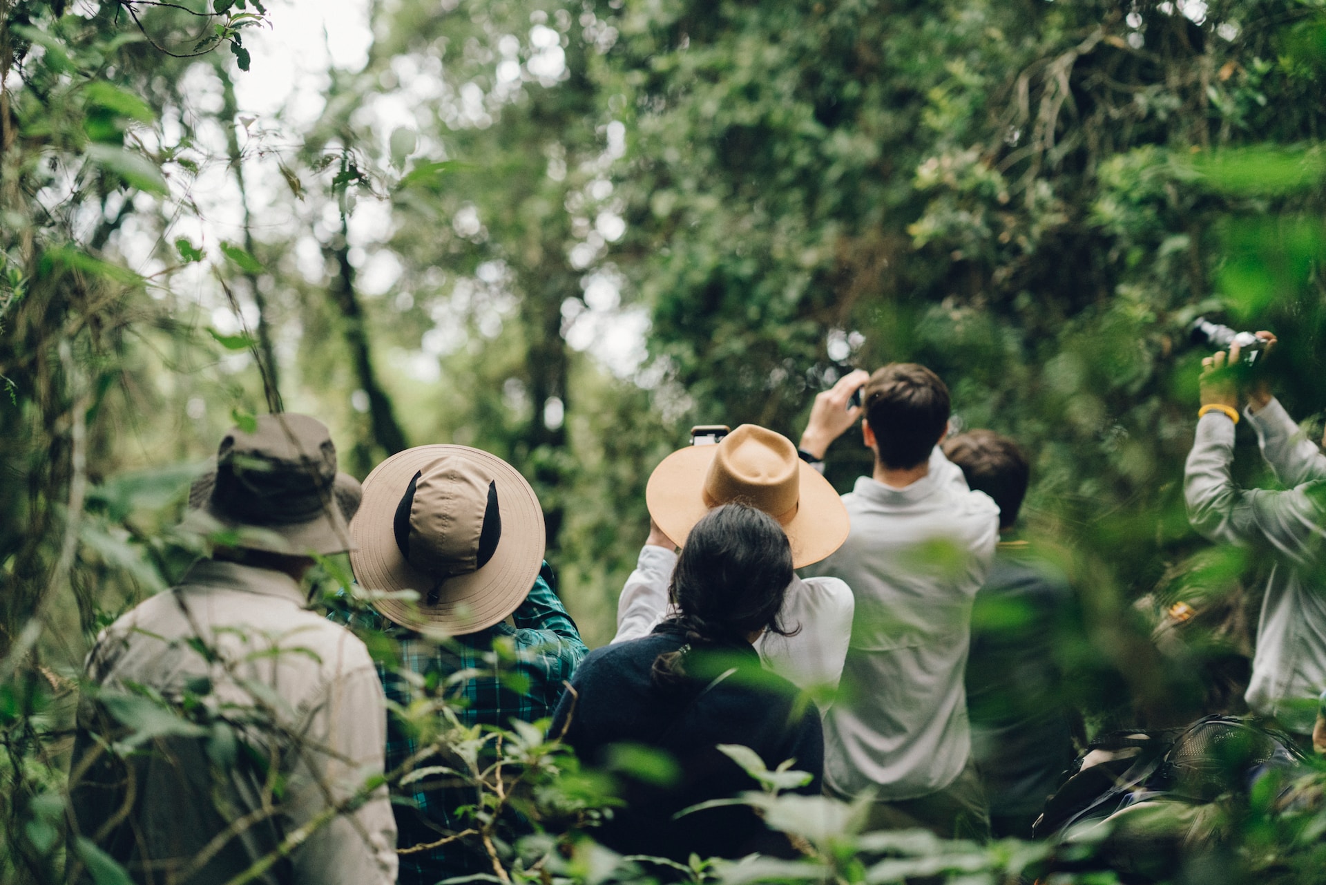 Safaris en grupos reducidos en Uganda: ventajas y qué puedes esperar