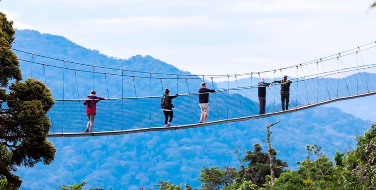 Actividades en el Parque Nacional del Bosque de Nyungwe